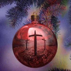 Meet your Posher, Sue